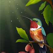 Colombia mágica. Un progetto di Illustrazione digitale di Maria Serna - 18.04.2025