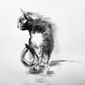 Artistic Charcoal Cat Portrait . Drawing, Fine Arts, Portrait Drawing, and Naturalistic Illustration project by Cloud - 04.19.2025