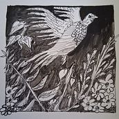 Verschiedene Übungen mit Tinte und Feder. Un progetto di Disegno artistico, Disegno e Illustrazione con inchiostro di Carola Zain - 21.04.2025