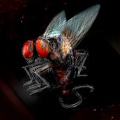 Mosca. Traditional illustration, and Digital Illustration project by Juan Mª Saturno Hernández - 04.21.2025
