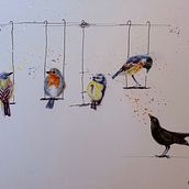 Bird's Play. Un progetto di Illustrazione tradizionale, Pittura ad acquerello, Disegno realistico e Illustrazione naturalistica di Amanda Heenan - 21.04.2025