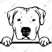 "Il mio Pancho". Un progetto di Illustrazione tradizionale di franurreta14 - 22.04.2025