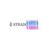 Stradivarius . Communication, Cop, writing, Writing, and Social Media project by Joanna Śnieżek - 04.27.2025