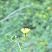 Laguna del Ojo - Argentina - 2025. Photographic Composition, Photograph, Digital Photograph, and Outdoor Photograph project by maitena_cepeda - 04.28.2025