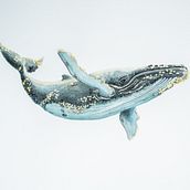 Mi Primera Acuarela. Un projet de Illustration naturaliste, Peinture, Aquarelle , et Beaux Arts de Juan Bernal - 28.04.2025