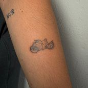 Cítricos minimalismo . Desenho de tatuagens projeto de paumatgar - 28.04.2025
