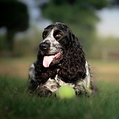 After game chilling - Final project. Photograph, Portrait Photograph, Lifest, le Photograph, Instagram Photograph, Documentar, and Photograph project by Lucie Hyblova - 04.29.2025