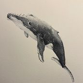Baleias em aquarela. Naturalistic Illustration, Painting, Watercolor Painting, and Fine Arts project by Júlia Berton - 05.02.2025