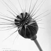 Diseño portada de libro . % Agustina Battaglia tarafından hazırlanan Markalaşma ve Kimlik, Tasarım, Tasarım Yönetimi, Dijital Tasarım, Editör, al Tasarım, Grafik Tasarım, Ve Tipografi projesi - 05.02.2025