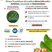 PROMOCIONALES PARA MI EMPRESA. Content Marketing, Digital Marketing, Facebook Marketing, Instagram Marketing, and Social Media project by Melisa Correa - 05.02.2025