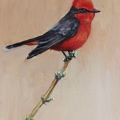 Petirrojo. Fine Arts, Naturalistic Illustration, Oil Painting, and Painting project by Oscar Acevedo - 05.02.2025