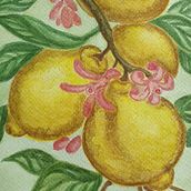 Llimones. Traditional illustration, and Watercolor Painting project by Iris Osuna Pérez - 05.03.2025