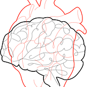 Cerebro y corazon. Digital Illustration project by Alexander López - 05.04.2025