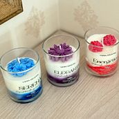 Jardín de aromas Ein Projekt aus dem Bereich DIY, Innendesign und Produktdesign von lucyorianaqf - 06.05.2025