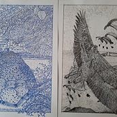 Meu(s) projeto(s) do curso: Ilustração com tinta e bico de pena: registre o mundo natural [ 1. "O Ninho na Vila" ; 2. "Liberdade de voar"; 3. "Outono"]. Un proyecto de Dibujo artístico, Dibujo, Ilustración con tinta, Ilustración naturalista				, Sketchbook y Bocetado de António Anjos Mendonça - 08.05.2025