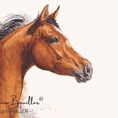Messager du Zéphyr. Realistic Drawing, Traditional illustration, Naturalistic Illustration, and Watercolor Painting project by Morgane Bouiller - 05.10.2025