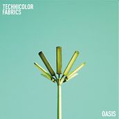 Oasis. Music Production, and Audiovisual Post-production project by Alejandro Merodio - 05.10.2025