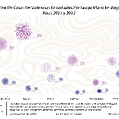 Conteo De Casos De Violencias Reportados Por Grupo Etario En Bogotá  Años 2021 y 2022. Un progetto di Design dell’informazione, Design interattivo e Infografica di rony_produccion - 13.05.2025