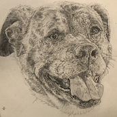Commission Sketch. Sketching project by matt_musicteacher - 05.14.2025