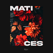MATICES. Br, ing e Identidade, Stor, e telling projeto de fepaera - 14.05.2025