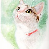 Expressive animals in watercolour with Sarah Stokes. Un progetto di Disegno realistico, Illustrazione tradizionale, Illustrazione naturalistica e Pittura ad acquerello di Amanda Heenan - 17.05.2025