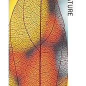 My project for course: Basic Principles of Graphic Design. Ein Projekt aus dem Bereich Br, ing und Identität, Design, Grafikdesign, Logodesign, T und pografie von rafaelfspedro - 17.05.2025