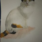 Lupe. Un projet de Illustration traditionnelle, Aquarelle, Beaux Arts et Illustration naturaliste de Lila M.J - 18.05.2025