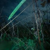 Let´s talk about flowers. Photograph project by Monika Meinhart - 05.19.2025