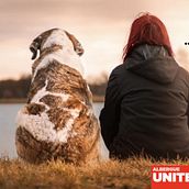 Campaña Albergue United Pets of Domestik. Advertising, and Creativit project by underfred - 05.20.2025