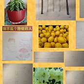 My mosaic of different work . Drawing, Pencil Drawing, Design, and Traditional illustration project by Anastasia Zamay - 05.20.2025