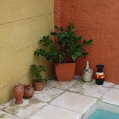 Mi paso por el curso.. Marketing, Advertising, Mobile Photograph, Product Photograph, Photograph, Social Media, Instagram, Instagram Photograph, Lifest, le Photograph, and Mobile Marketing project by manuel_o - 05.21.2025