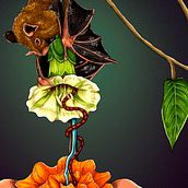 Tzinacán y la creación del cempoalxóchitl. Un proyecto de Ilustración digital, Pintura digital, Dibujo, Ilustración tradicional, Ilustración naturalista				 y Dibujo realista de Diana Olvera - 22.05.2025