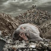 "SE SO VENDUTI I COLORI...I COG***NI". Photograph, Photograph, Post-production, Photo Retouching, Fine-Art Photograph, Photographic Composition, Photomontage, and VFX project by francescopor1309 - 05.23.2025