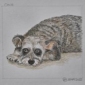 CHLOE, the dog. Traditional illustration, and Naturalistic Illustration project by suathar5 - 05.23.2025