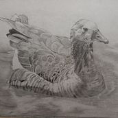 Los Dioses del Parque. Drawing, and Pencil Drawing project by andresbernalcol - 05.23.2025