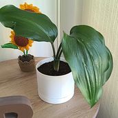 Matera impresa en 3D. Design, 3D Modeling, and 3D Design project by Juan Carlos Mosquera Luengas - 05.28.2025