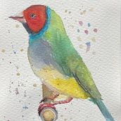 Birds. Traditional illustration, Watercolor Painting, Realistic Drawing, and Naturalistic Illustration project by y7dfcnx8rv - 05.31.2025