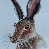 Animalario en acuarela. Een project van Traditionele illustratie, Aquarelschilderen,  Beeldende kunst y Naturalistische illustratie van Maika Mora - 01.06.2025