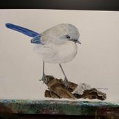 Mark Eatwell's "Old Blue" Ein Projekt aus dem Bereich H und werk von Sabine Janke - 01.06.2025