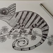 Da Lumaca a Camaleonte. Drawing, Ink Illustration, Sketchbook, and Sketching project by patriziap - 06.07.2025