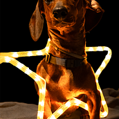 Una modelo exclusiva.. Photographic Composition, Photograph, and Digital Photograph project by Karen Andrea - 06.08.2025