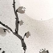 Shikunshi Valentina Nieli-Vatne. Ilustração tradicional, Desenho, Artesanato, Artes plásticas, e Fotografia projeto de Valentina Nieli - 08.06.2025