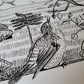 Illustration à l'encre et à la plume : représentez le monde naturel. Een project van  Artistieke tekening,  Tekening,  Illustratie met inkt, Naturalistische illustratie, Sketchbook y  Schetsen van Solweig Gerbier - 08.06.2025