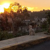 El atardecer en sus ojos . Un proyecto de Fotografía de venegaasesequiel - 09.06.2025
