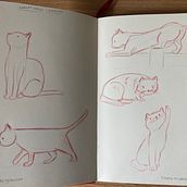 Works in progress - character design (anthropomorphic animals). Un progetto di Character design, Illustrazione infantile, Disegno con matite colorate, Disegno e Disegno a matita di Nina Mistry-Rhoades - 11.06.2025