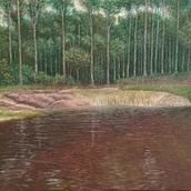 Cachoeira "Berro ďágua". Ein Projekt aus dem Bereich Bildende Künste, Ölmalerei und Malerei von dindabemcasados - 16.06.2025