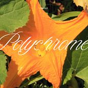 Polychrome. Photograph, and Design project by Bàrbara Dorne - 06.16.2025