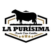 LA PURISIMA. Br, ing, Identit, Design, Graphic Design, and Logo Design project by Mónica Ramos - 06.17.2025