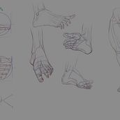 Final Project Anatomical Drawing of Limbs, Hands and Feet . % Elinna Khor tarafından hazırlanan Sanatsal Çizim, Çizim, Şekil Çizimi, Güzel sanatlar, Mürekkep İllüstras, onu, Kalem Çizimi, Portre Çizimi, Gerçekçi Çizim, Eskiz defteri, Ve Eskiz çizimi projesi - 06.17.2025
