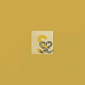 Logos. Graphic Design project by Soledad Rodriguez-Cashuric - 06.19.2025